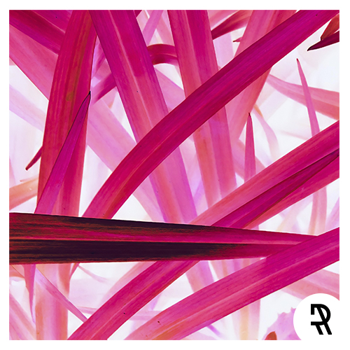 Waves #112