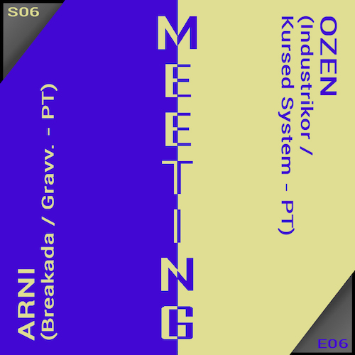 Meeting #65 with Arni & Ozen